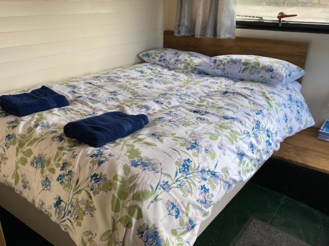 Stonehenge Campsite & Glamping Otel Berwick St James Dış mekan fotoğraf